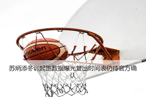 苏炳添冬训起跑数据曝光复出时间表仍待官方确认